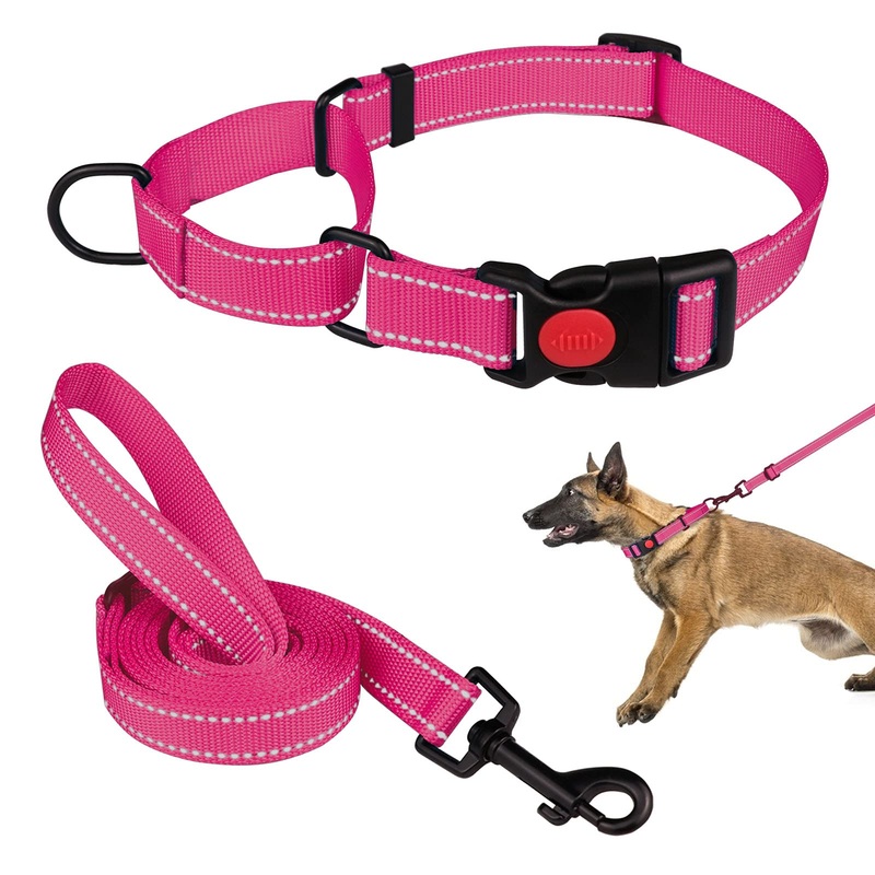 Martingale Dog Collar and Leash Set Martingale Collars for Dogs Reflective Martingale Collar for Small Medium Large Dogs(Hot Pink&L) L Hot Pink