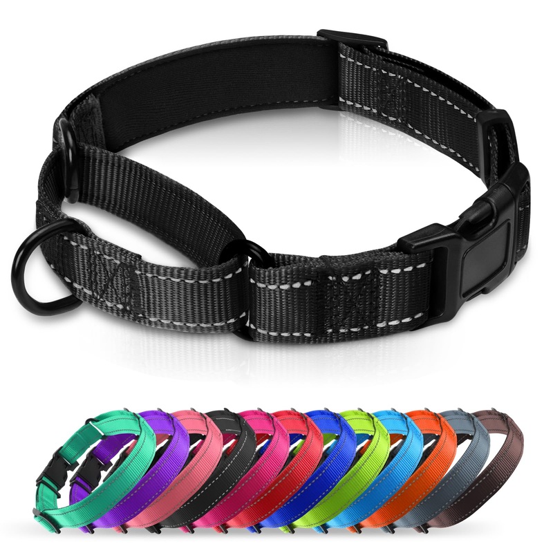 Padded Martingale Collar for Dogs | Neoprene Martingale Dog Collars | Reflective Nylon Martingale Collar | Adjustable Dog Martingale for Small Medium and Large Dogs Medium(pack of 1) Black