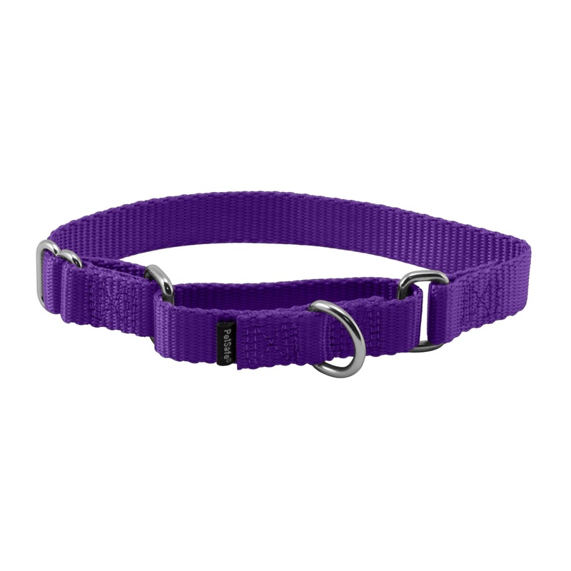 PetSafe Adjustable Martingale Collar – Only Tightens When Dogs Pull, Prevents Slipping Out – Helps with Strong Pullers, Increased Control – Alternative to Choke Collar – 3/4″, Small, Deep Purple S (Neck: 8″-12″, Strap Width: 0.75″)