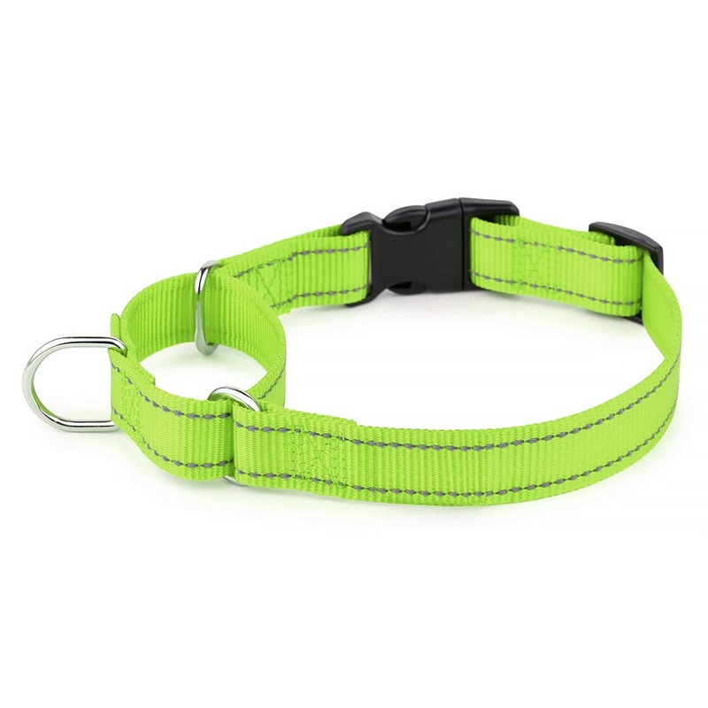 Plutus Pet Reflective Martingale Collar with Buckle – Durable and Adjustable Training Collar for No Pulling, Dog Choker Collar for Small Medium Large Dogs, Bright Green, M M:16″-20″