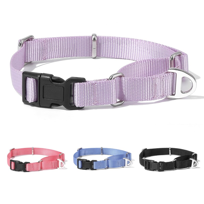 Rttochfy Martingale Dog Collars, Adjustable Nylon Dog Collar with Quick Release Buckle, No Choke Dog Training Collar for Small Medium Large Dogs (Purple, L) Purple