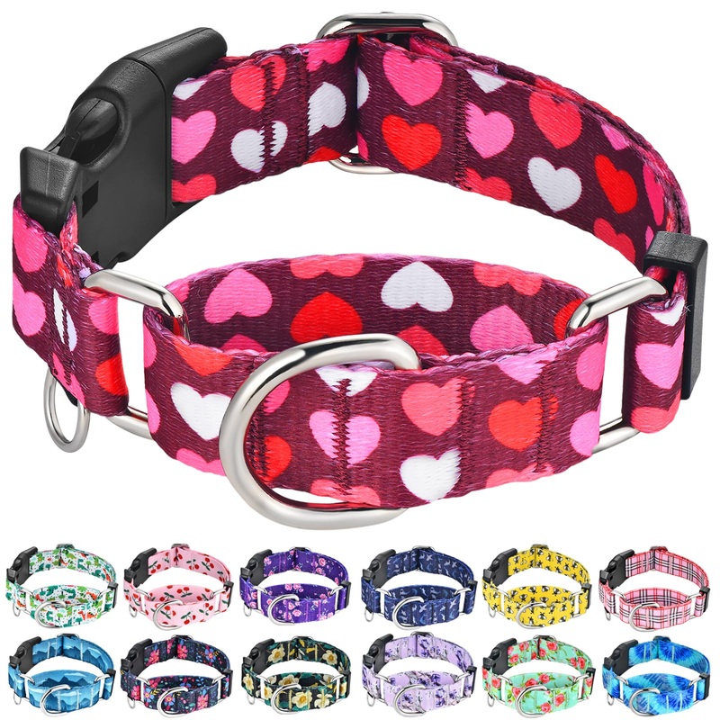 Valentines Pink Martingale Collar for Dogs with Buckle Adjustable Heart Dog Collars (Burgundy Love, Large) Burgundy Love