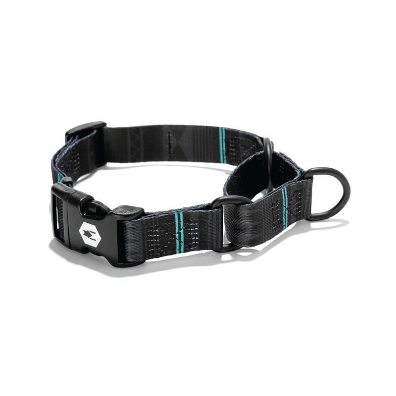Wolfgang Premium Martingale Dog Collar for Medium Dogs, Durable & Easy to Clean Nylon Dog Collar with Quick Clip Buckles, for Training & Daily Use, Made in USA, NightOwl Print, (1 Inch x 14-18 Inch) Medium (1 Inch x 14-18 Inch)