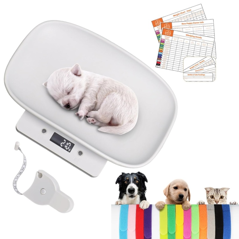 Digital Pet Scale, Puppy Scale for Weighing, Puppy Whelping Scale, Newborn Pet Weighing, Accurate Small Animal Scales for Kitten Hedgehog, Multi-Function LCD Scale,Max 33lb, 11.4 inch 33lb+Tape+Collars+Charts