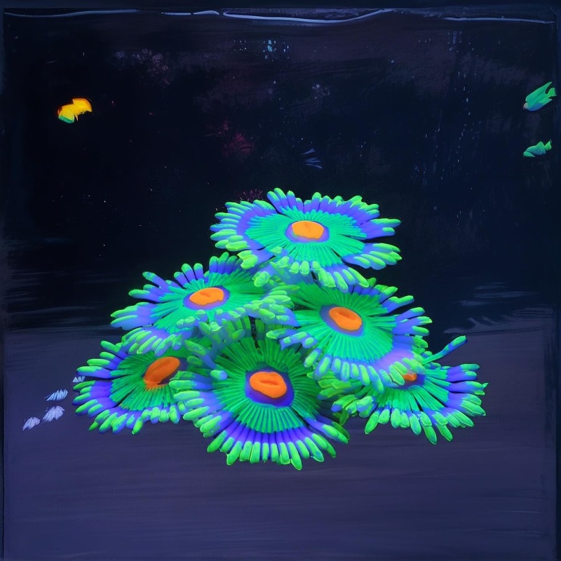 Glowing Effect Fish Tank Aquarium Decorations, Artificial Silicone Plants Ornaments for Fish Tank Landscape Decor Glow in The Dark Soft Anemone for Small Fish Bowl Decor Green