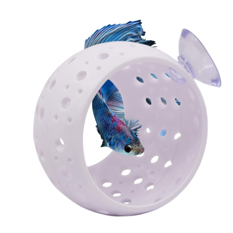 Saim Betta Fish Tunnel Toys, Fish Lounge Aquarium Betta Fish Hideout with Suction Cup Betta Fish Cave Aquarium Decor for Small Fish Shrimp Betta Guppies Hiding Resting – White