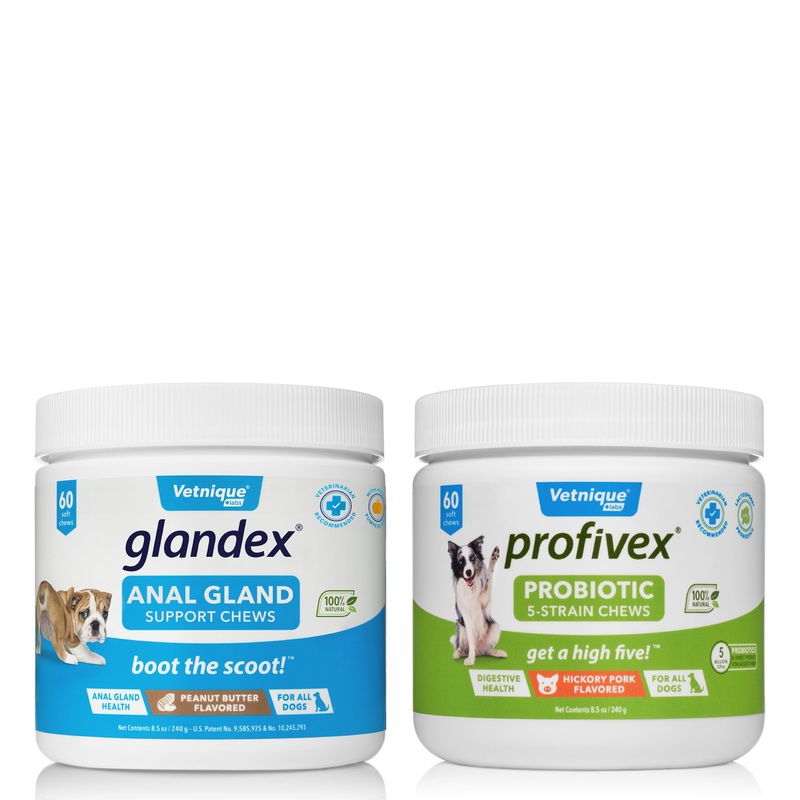 VETNIQUE Profivex 5-Strain Probiotic Soft Chews (60ct) & Glandex Anal Gland Support Peanut Butter Soft Chews (60ct) for Dogs Bundle