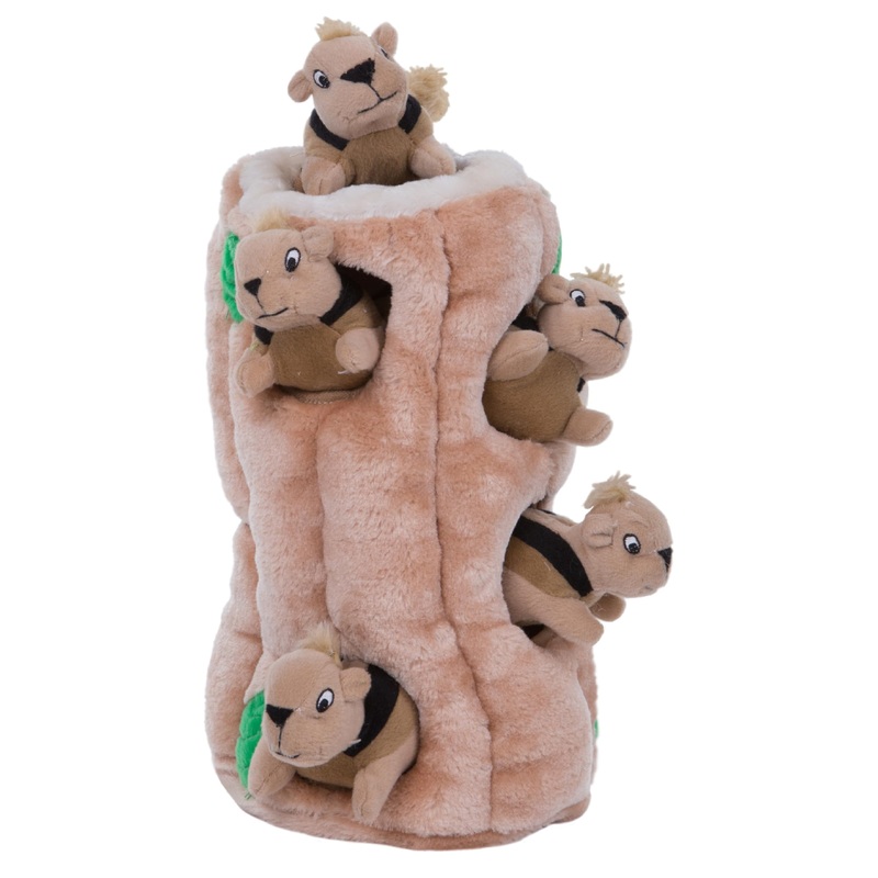 Outward Hound Hide A Squirrel Plush Dog Toy Puzzle, XL Multi 5 Piece Set