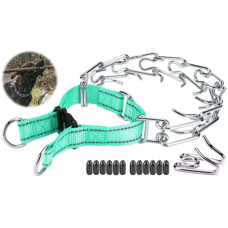 Pinch Collar for Dogs, Adjustable Quick-Release Stainless Steel Prong Collar for Small Medium Large Dogs (S/Neck Girth 11.2″-14.5″, Teal #2) S / Neck Girth 11.2″-14.5″