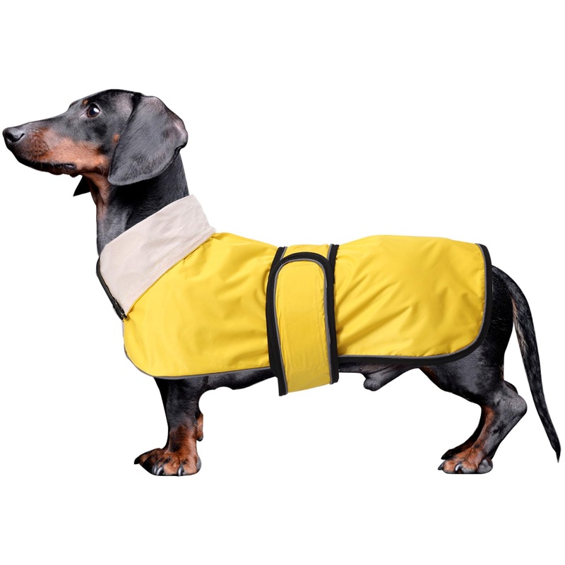 Dachshund Raincoat with Reflective Stripe rain Water Resistant Adjustable Bands Raincoat for Small Medium Dogs – Yellow – M Medium(Back: 17″-18″in)