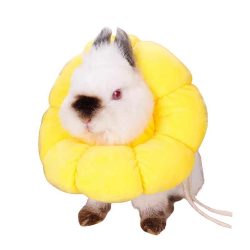 Rabbit Protection Cone Extra Small Soft Elizabethan Collar for Bunny Chinchilla Guinea Pig Small Cat Recovery Collar Kitten E Collar Alternative After Surgery Wound Healing Donut Collar (Yellow, XS) Yellow