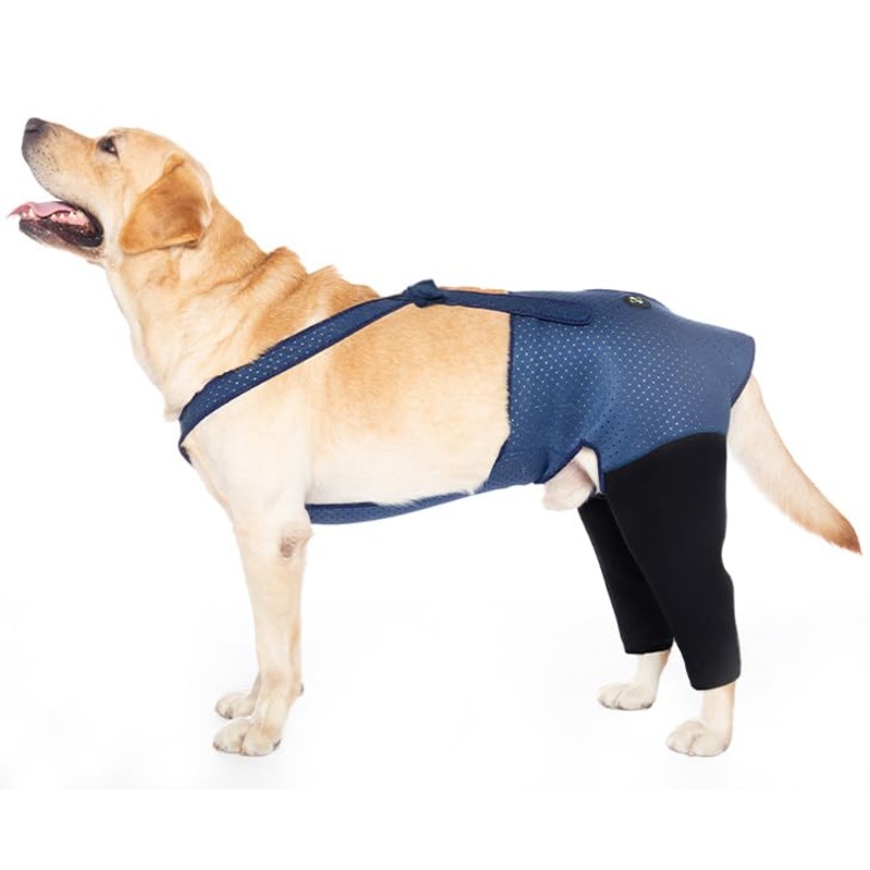 Coodeo Dog Recovery Suit, Cone Collar Alternative, Abrasion Resistant Dog Recovery Rear Sleeves, Washable 2.5mm Thick and Waterproof, Pet Wounds Prevent Licking, Biting (2XL, Blue) XX-Large