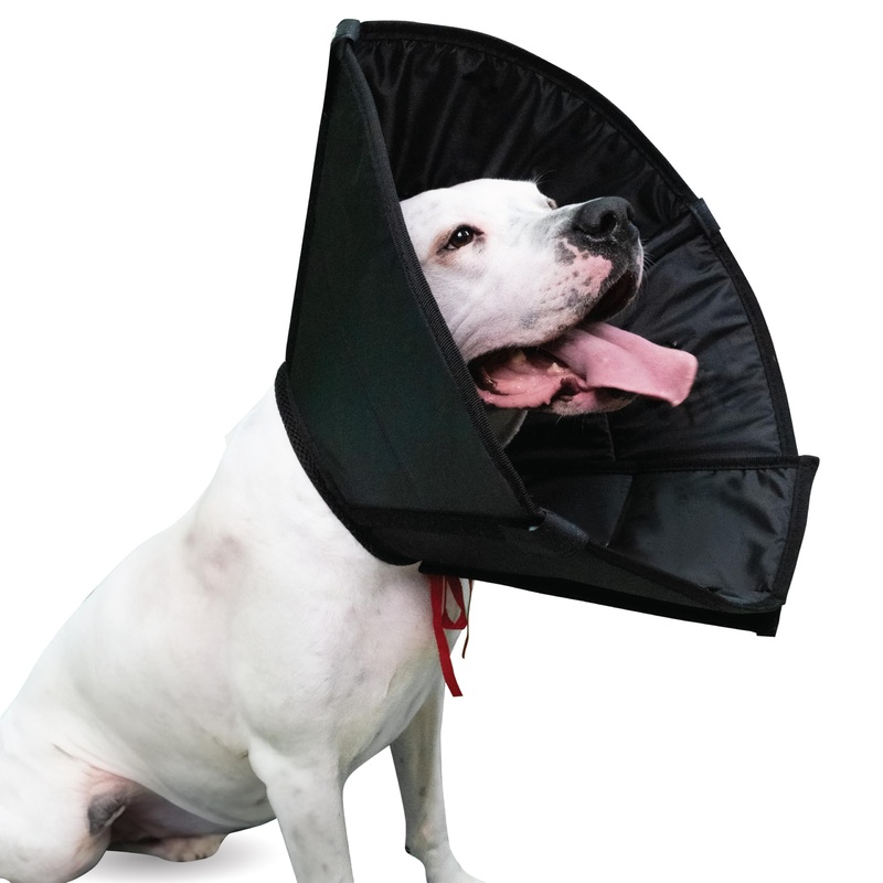 Dog Cone Collar Adjustable After Surgery, Protective Soft Dog and Cat Cone, Elizabethan Collar for Dogs and Cats, Comfortable Dog Cone, Adjustable Cat Cone (Black, S Long [Neck Girth: 11.4″-14.2″]) Black S Long [Neck Girth: 11.4″-14.2″]