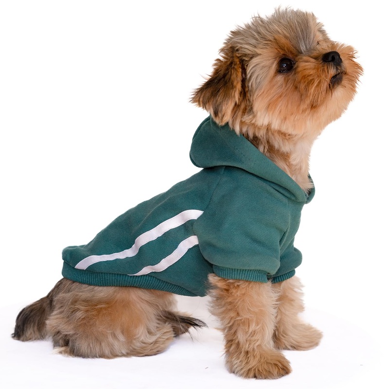 Dog Hoodies for Small Dogs,Sweatshirt with Leash Hole,Pullover Hoodie for Small Dogs,Dog Clothes for Small Dogs Teacup Dog Chihuahua Yorkie Boy or Girl-Green M Medium for 4.5-6.5 lbs Green