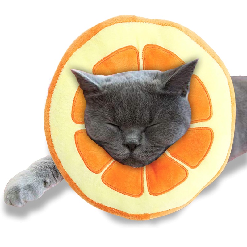SunGrow Cat Cone Collar Soft, Stop Licking E Collar for Recovery, Post Surgery Stress Relieving with Adjustable Strap Enclosures (9″ – 10.5″ Neck Size, Orange) 9″ – 10.5″ Neck Size, Orange