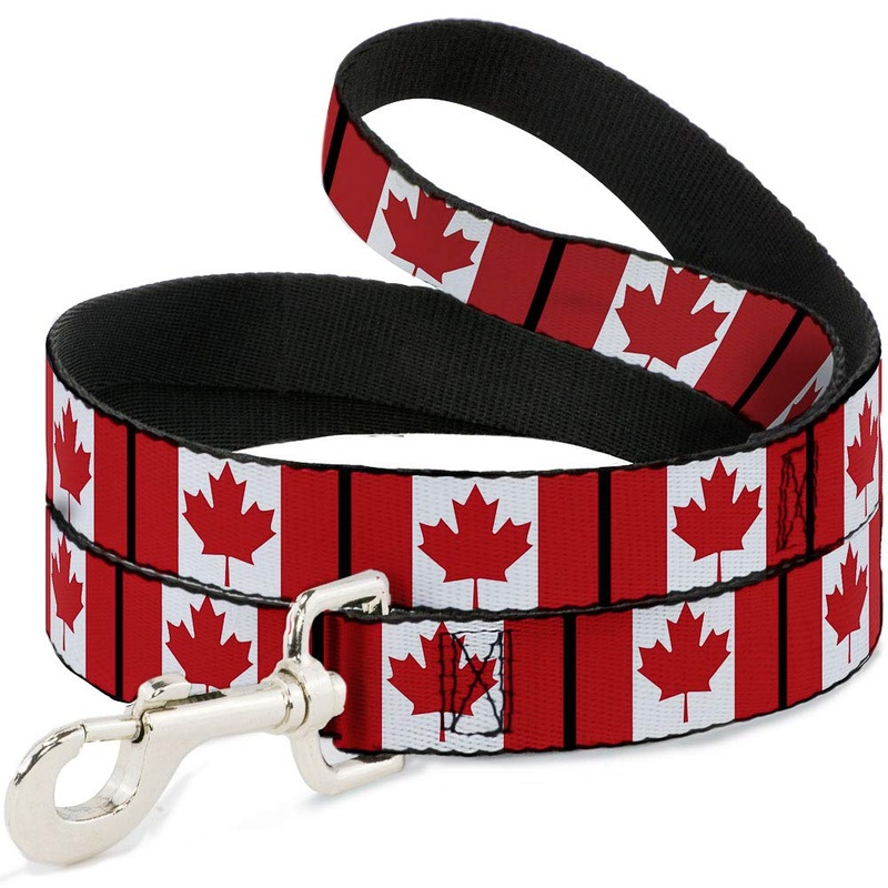 Buckle-Down Pet Leash – Canada Flags – 6 Feet Long – 1″ Wide