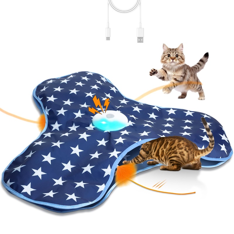 Cat Toys Interactive Hide and Seek with Chirping, Motion Activated Cat Exercise Catching Game Moving Concealed Feathers Hidden in Bag
