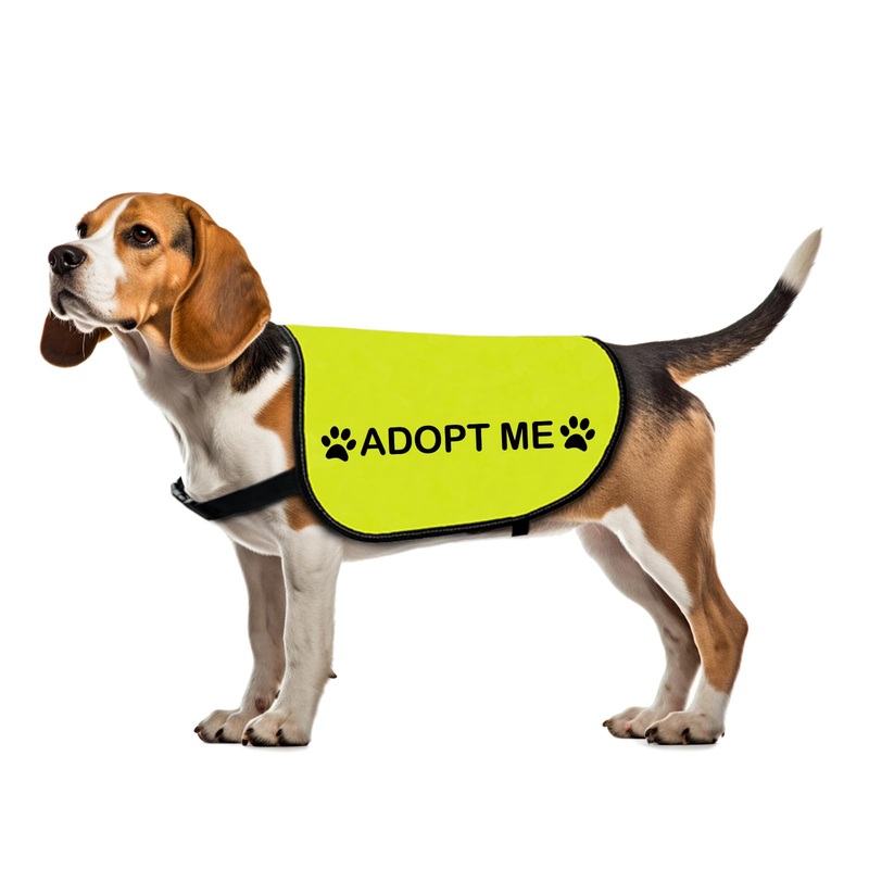 Rescue Dog Jacket Vest Adopt Me Dog Vest Foster Dog Slogan Vest (Adopt Me-Large) Adopt Me-Large