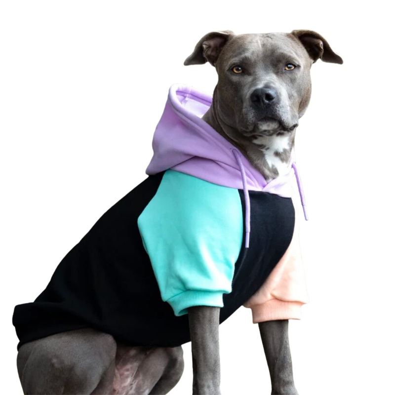 Spark Paws Dog Hoodie – Premium Quality, Buttery Soft, Superior Comfort and Fit, Calming Fleece Interior, Suitable for All Breeds – Cyber Punk – 3XL 3XL: 60-80lbs