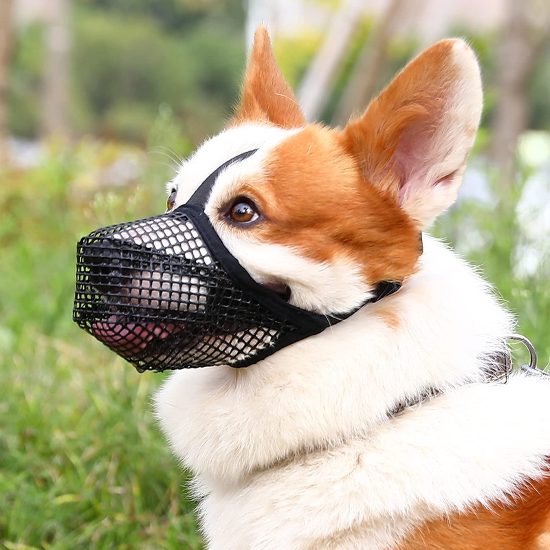 Crazy Felix Dog Muzzle, Soft Mesh Muzzle for Small Medium Large Dogs Labrador German Shepherd, Breathable Adjustable Muzzles for Biting, Chewing, and Scavenging, Allows Panting and Drinking(Black,S) Black S-(Snout Cir: 8.5-9.5)