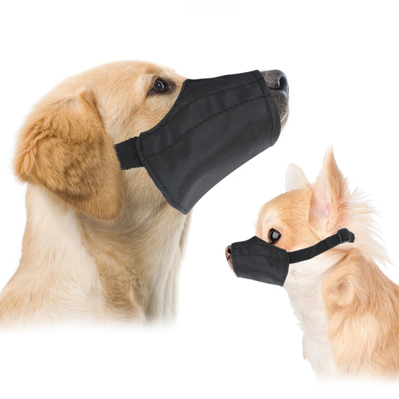 Downtown Pet Supply – Quick-Fit Dog Muzzle for Grooming – Pet Care & Dog Grooming Supplies – Soft Nylon Muzzle with Safety Buckle – Size 0 – Muzzle for Small Dog