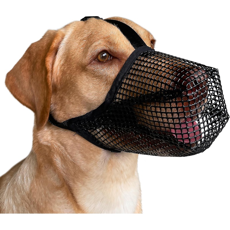 Mayerzon Dog Muzzle, Soft Mesh Covered Muzzles for Small Medium Large Dogs, Poisoned Bait Protection Muzzle with Adjustable Straps, Prevent Biting Chewing and Licking M: Snout:9″-10″ Black