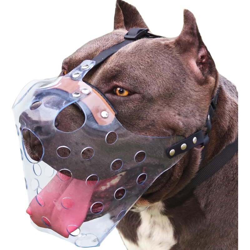 Mayerzon Pitbull Muzzle, Basket Muzzle for Large Dogs, Sturdy Rottweiler Muzzle to Prevent Biting Chewing Scavenging, Breathable Dog Mouth Guard for Grooming Vet Visits Clear XL