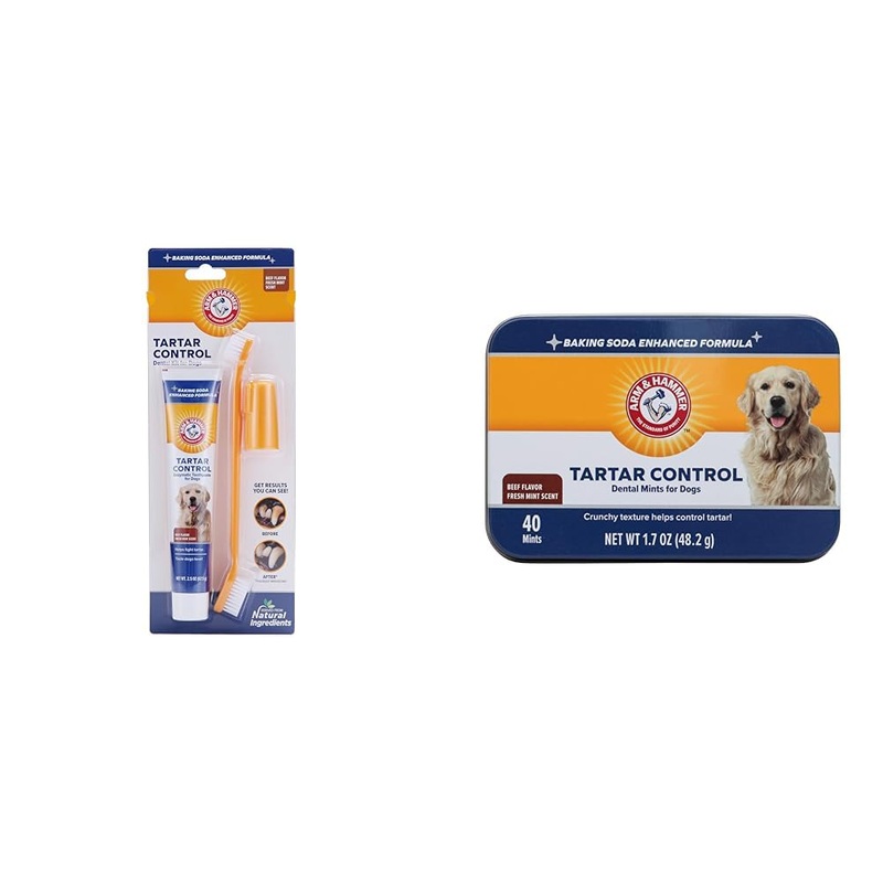 Arm & Hammer Dental Care Bundle for Dogs: Tartar Control Kit with Toothpaste, Toothbrush, Fingerbrush – Beef Flavor and Dental Mints, 40 Count – Reduces Plaque & Tartar, Safe for Puppies