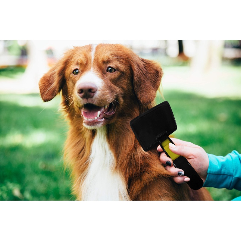 Pets First 3 Pack Flea Comb Lice Comb for Cats, Dogs Grooming Fine Tooth Hair Combs – Double Sided Easy Pet Flea Remover