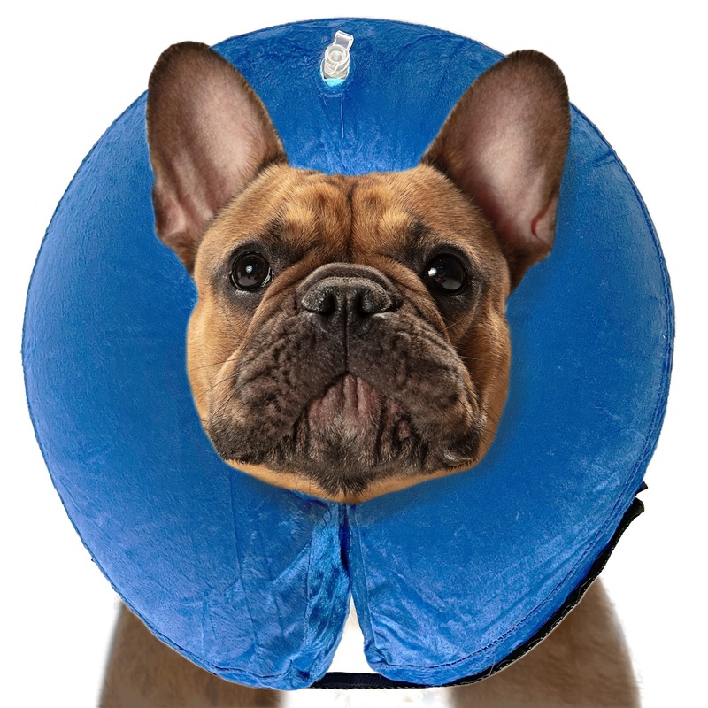 SIMENA Inflatable Pet Recovery Cone Collar for Cats and Dogs, Protective After-Surgery Adjustable Cone to Prevent from Biting and Scratching, Comfy Pet Collar (Blue, Small) Blue