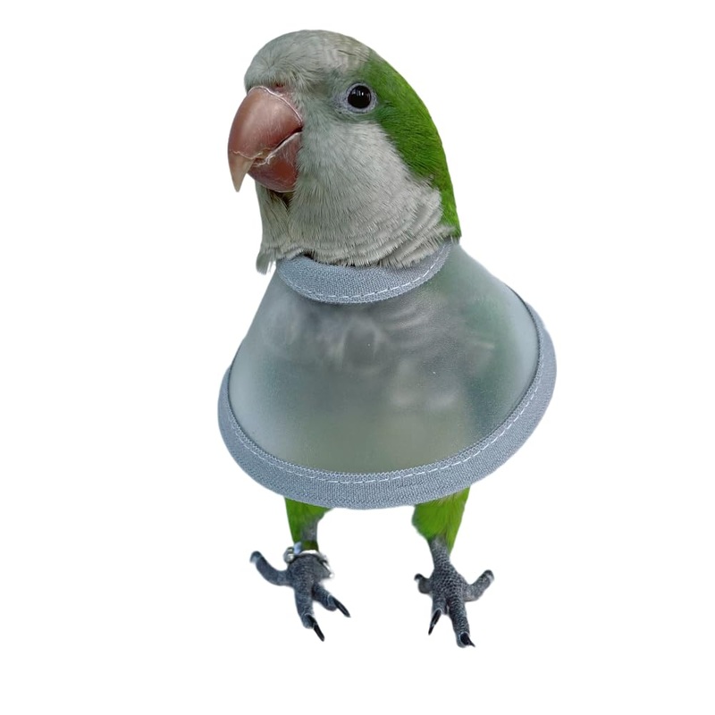 Adjustable Parrot Cone Collar, Safe and Practical Cotton Collar to Prevent Bites and Licking Wounds, to Help heal (L) L
