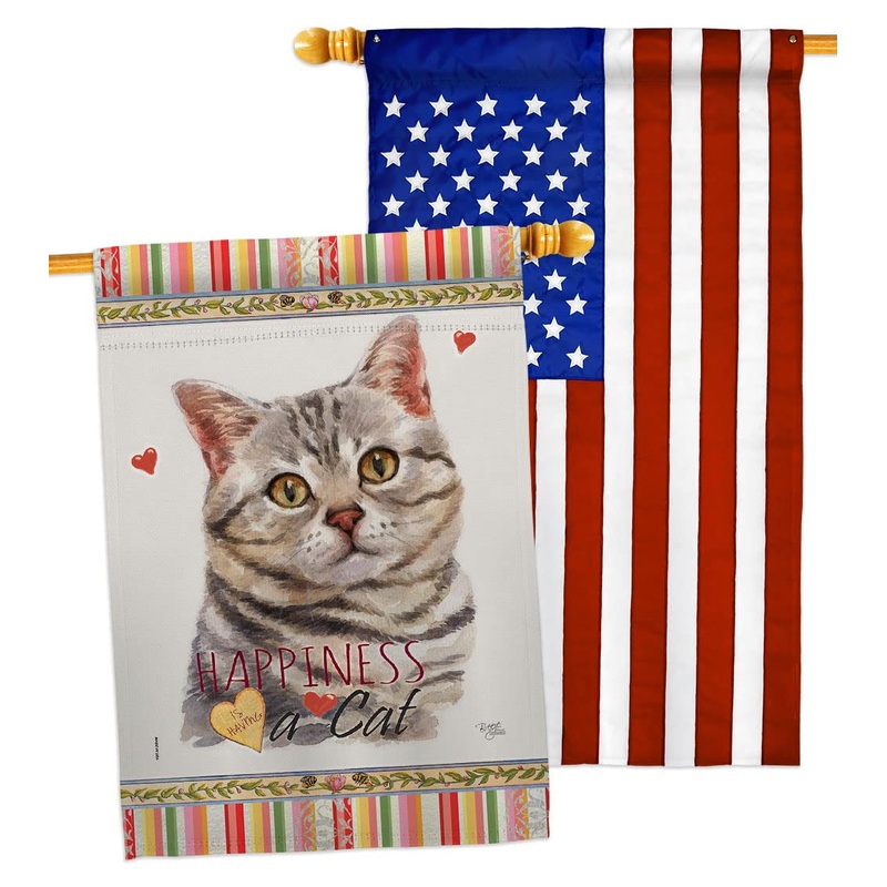 Breeze Decor Gray American Short Hair Happiness House Flag-Pack Cat Kitten Meow Spoiled Paw Fur Pet Nature Farm Animal Creature Applique Banner Small Garden Yard Gift Double-Sided, Made in USA