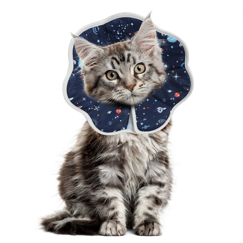 Cat Cone Collar Soft, Cat Cones After Surgery, Recovery Collars, Waterproof, Soft, Size Adjustable,Suitable for Bathing, Grooming, Preventing Scratching and Licking (M (Neck:9-11 in)) M (Neck:9-11 in)