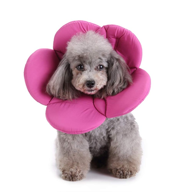 Dog Collar, Pet Cone E-Collar Flower Soft Elizabethan Waterproof Grooming Recovery Protecive Adjustable Collar for Puppy Small Medium Dogs (M Neck: 11-13in, Purple) M Neck:11-13in