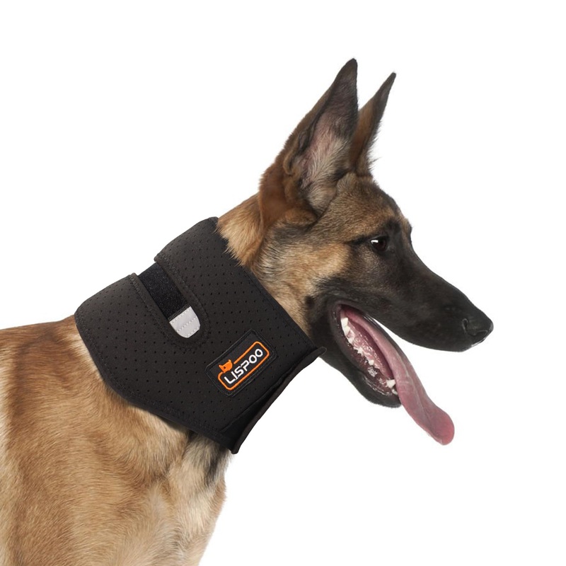 Dog Neck Braces Providing Support for Dogs with Vertebral Neck Injuries, Sprains, and Instability, While Preventing Biting and Licking for Effective Wound Healing Standard L