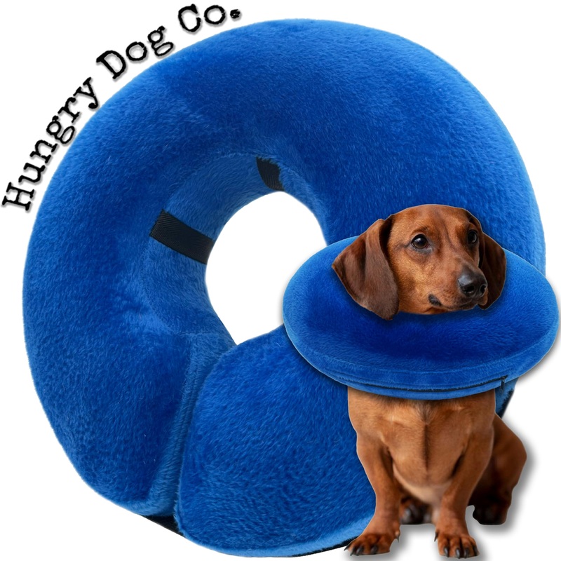 Hungry Dog Co.- Premium Inflatable Dog Collar for Dogs and Cats – Helps in Pet Recovery – Comfortable and Safe for Your Pet  Soft E-Collar  Blue, Small (5- 8 Neck) Small (5-8Neck)
