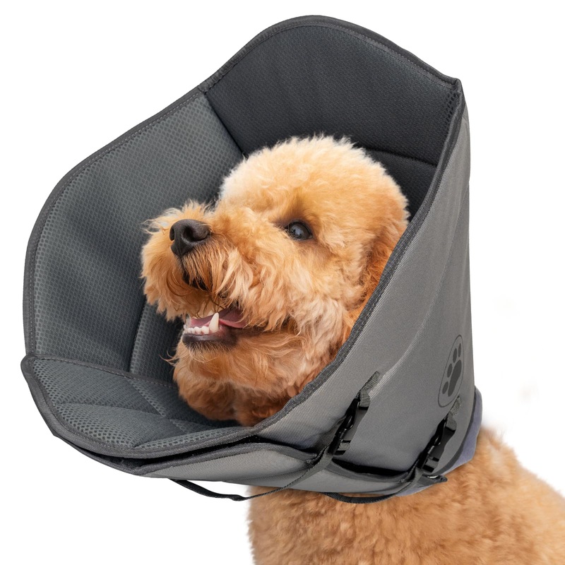 Superior Strong Oxford Cotton Lining Adjustable Buckle Pet Friendly Waterproof Secure Fit Soft & Protective Dog Cone Collar for Grooming, After Surgery Recovery, Rashes Protection (Medium) Gray Medium