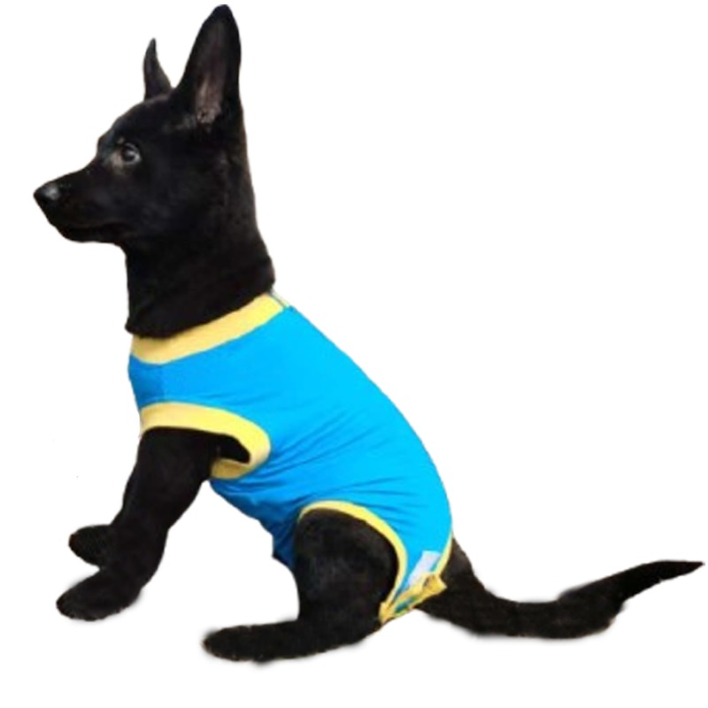 Dog Surgery Recovery Suit After Spay, Dog Onesies for Small, Medium & Large Pet, Abdominal Wounds Post Surgical Recovery Suit lternatives to E-Collars Bandages Recovery Cones M Blue