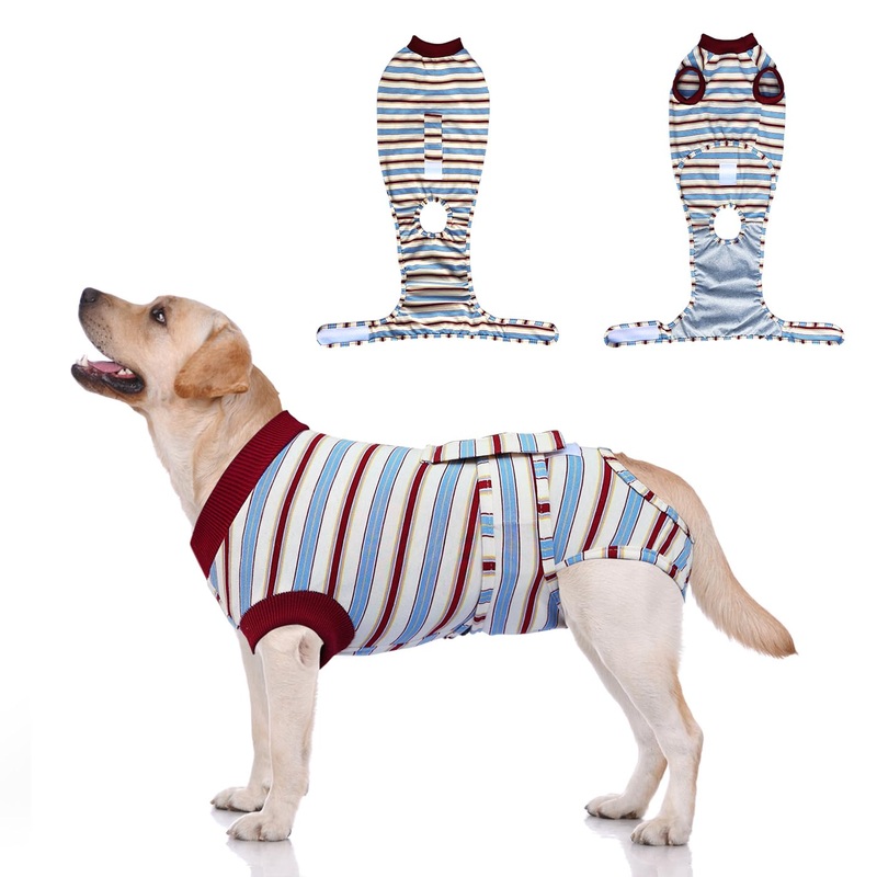 Dog Surgery Rrecovery Suit Dog Onesies for Surgery Recovery Dog Body Suits After Surgery Dog Recovery Suit Surgery Suit for Dogs Dog Surgery Suit Dog Neuter Recovery Suit,L Large