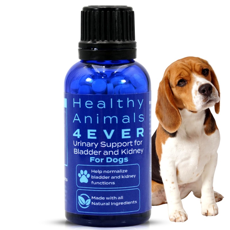 Healthy Animals 4 Ever Urinary Support for Bladder and Kidneys for Dogs – for Urinary Tract Infections & Renal Cleansing – Natural, Homeopathic, Non-GMO, Organic – Preservative, Chemical Free – 300 ct