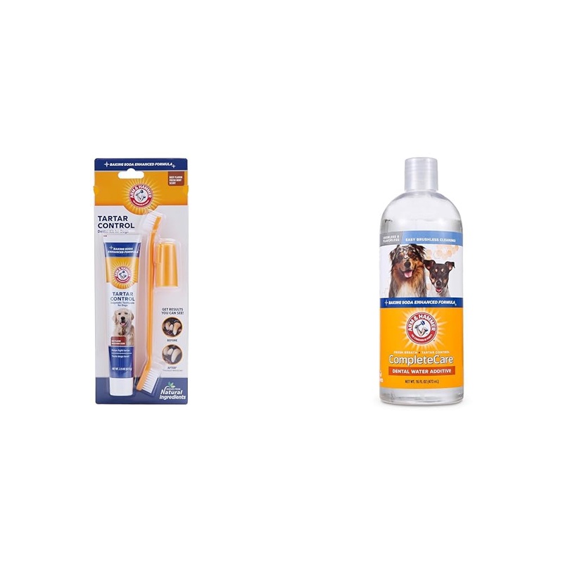 Arm & Hammer Dental Care Bundle for Dogs: Tartar Control Kit with Toothpaste, Toothbrush, Fingerbrush – Beef Flavor & 16 Fl Oz Complete Care Fresh Water Additive – Reduces Plaque, Tartar, Bad Breath