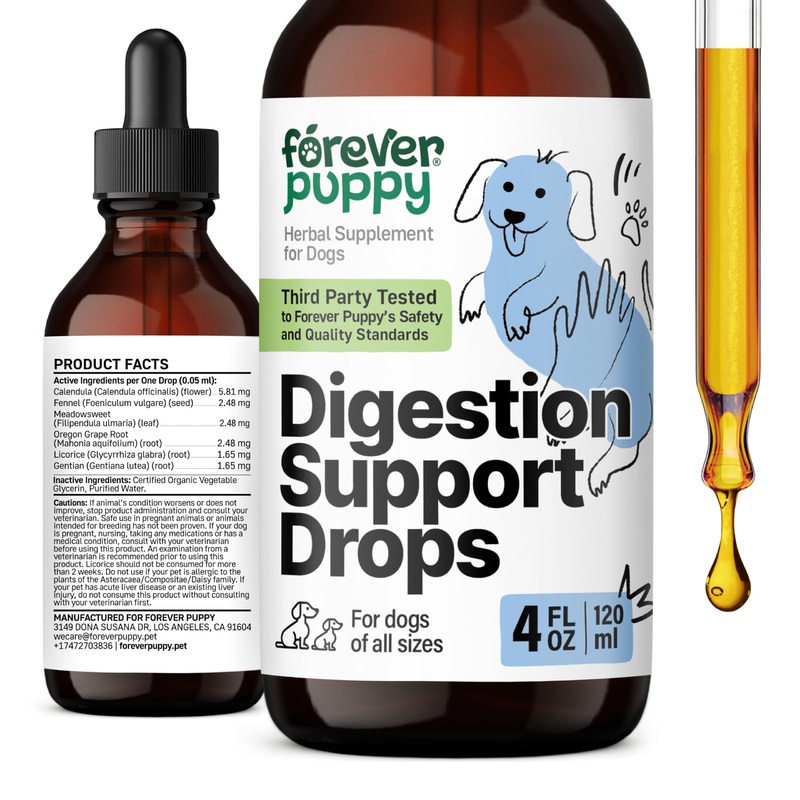 Digestion Drops for Dogs – Fennel Seeds & Licorice Root Extract for Dogs’ Digestive Health Support – Liquid Gut Support Fiber Supplement for All Breeds & Sizes – 4 oz 4 fl oz