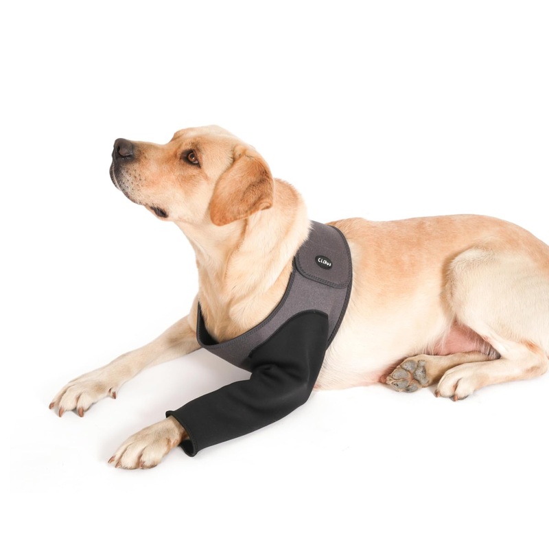 Dog Recovery Sleeve, Dog Recovery Suit, Abrasion Resistant Dog Recovery Sleeve Front Leg, Washable 2.5mm Thick and Waterproof, Pet Wounds Prevent Licking, Bite (2XLarge, Grey) 2XLarge
