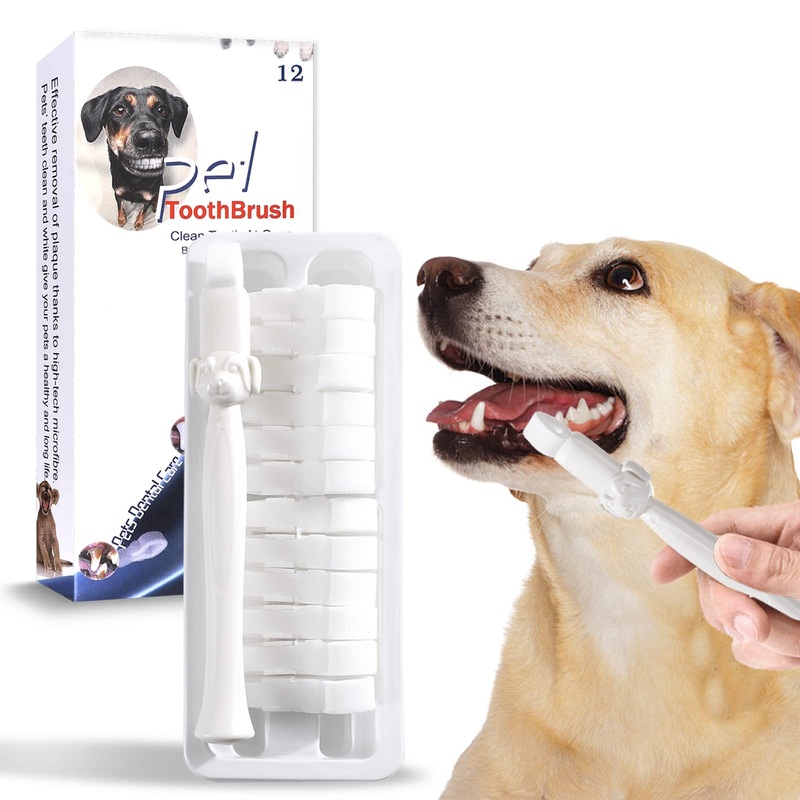 Dog Toothbrush,Plaque and Tartar Remover,Dog Tooth Brushing Kit,Just with Water No Toothpaste Required, Puppy Toothbrush,Cat Toothbrush for Oral Care(12pcs) 12pcs