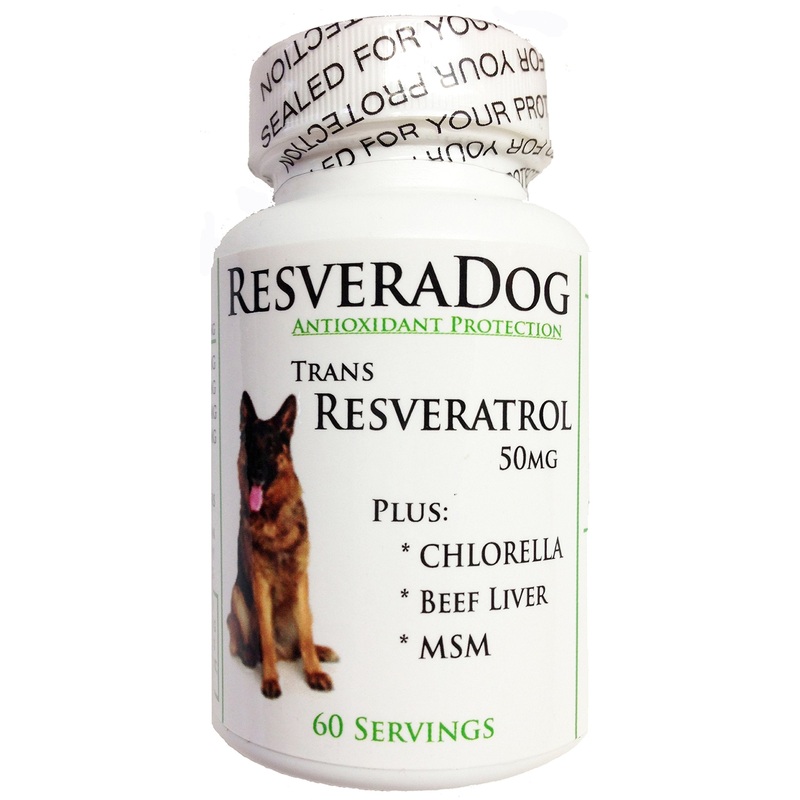 Resveradog: Dog 99% Tran Resveratrol Powder with Argintine Beef Liver, MSM & Chlorella