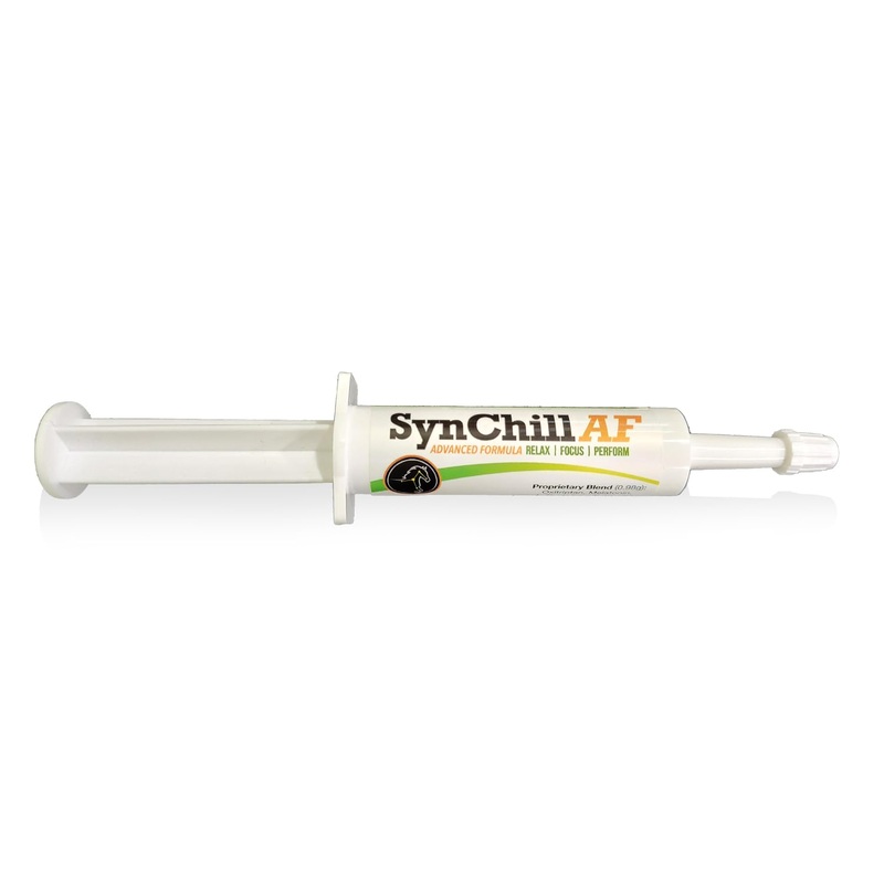 SynChill AF Calming Gel for Nervous Horses – Single Serving – Advanced Formula with L-Theanine, Increased Potency, 100% Natural Supplement, Disposition & Confidence Support for Horses
