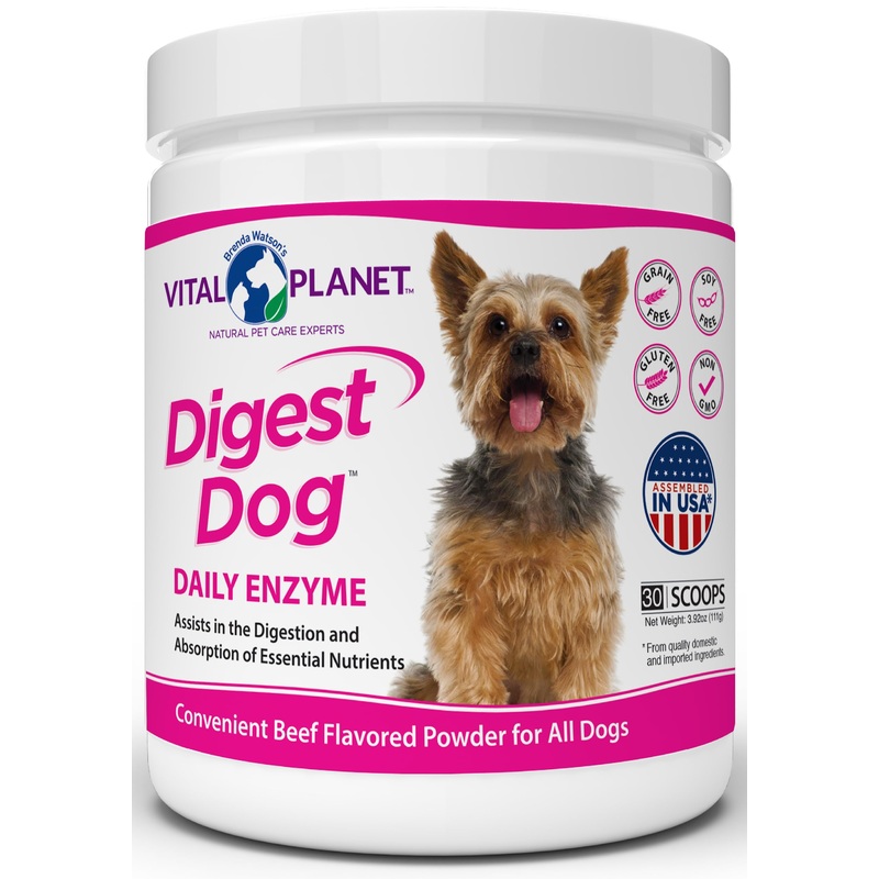 Vital Planet – Digest Dog Digestive Pancreatic Enzyme Blend with Pumpkin and Fennel to Support The Pancreas and Healthy Digestion with Pancreatin, Beef Flavored Powder for Dogs – 111 Grams 30 Scoops