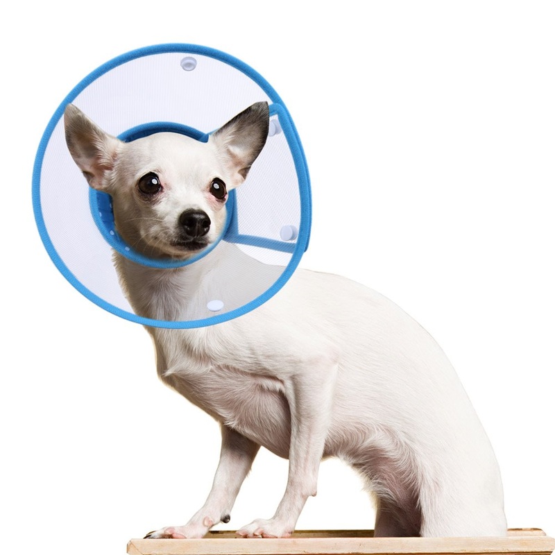 Cat Cone Collar, to Stop Licking, Recovery Elizabethan After Surgery, Clear Soft Neck E-Collar, Not Block Vision, for Kitten Puppy Dog Pet in Surgery Remedy – M in Blue 6″-9″