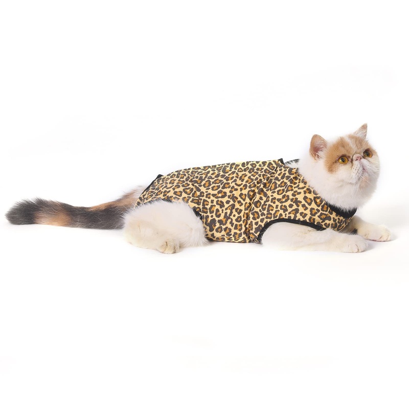 Jiupety Cat Surgical Recovery Suit, Cat Bodysuit for Abdominal Wound After Surgery Or Skin Diseases, Substitute E-Collar, L Size, Anti-Licking Surgical Cat Onesies, Leopard. Large YeLeo