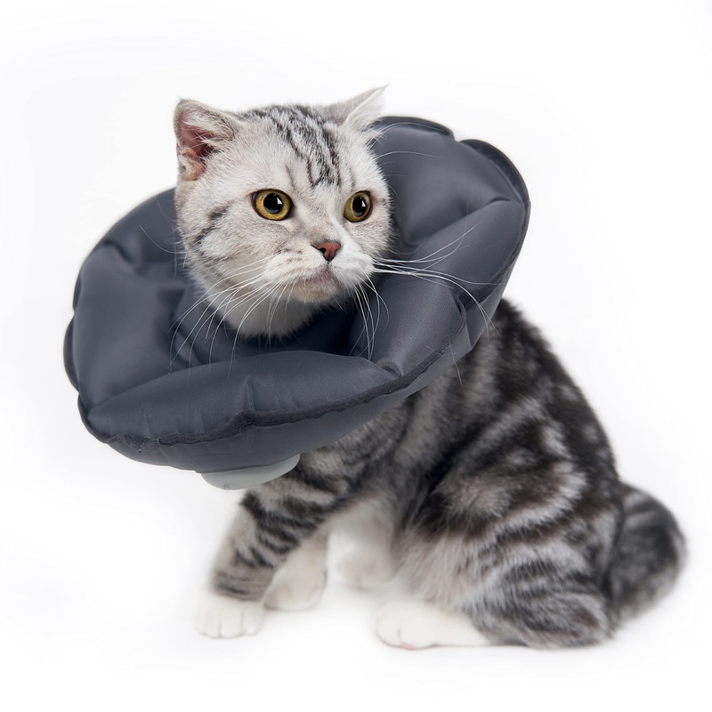 MayMaw Inflatable Cat Collar E Cone for Kittens & Small Dogs, Soft & Foldable Cat Recovery Collar Cone for Cats to Stop Licking Wound Grey-MNeck:8.8″)